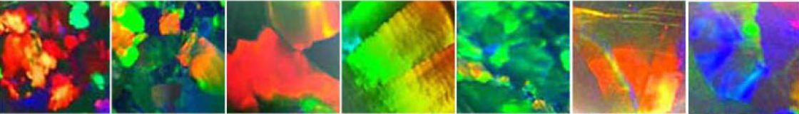 florent boucharel rAd-Free